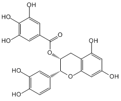 (-)-Epicatechin Gallate,(-)-表儿茶素没食子酸酯