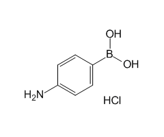 4-Aminobenzeneboronic acid hydrochloride, 98%,4-氨基苯基硼酸盐酸盐