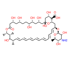 Amphotericin B,两性霉素B