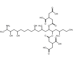 Fumonisin B1, 96%, reference material,伏马毒素B1