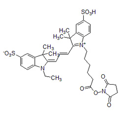 磺基-Cy3-N-羟基琥珀酰胺酯