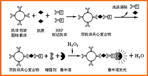 水是什么性质的氧化物 a.jpg