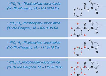同位素标记试剂盒